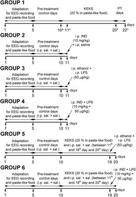 Exogenous Ketone Supplementation Decreased the Lipopolysaccharide-Induced Increase in Absence Epileptic Activity in Wistar Albino Glaxo Rijswijk Rats